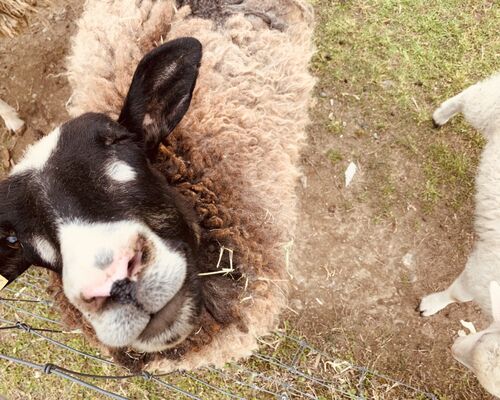 袖ヶ浦市　リフォーム